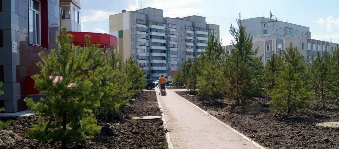 Вот такой лесок с тропой появился в 16-ом микрорайоне